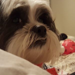 Meet your Posher, Glenda